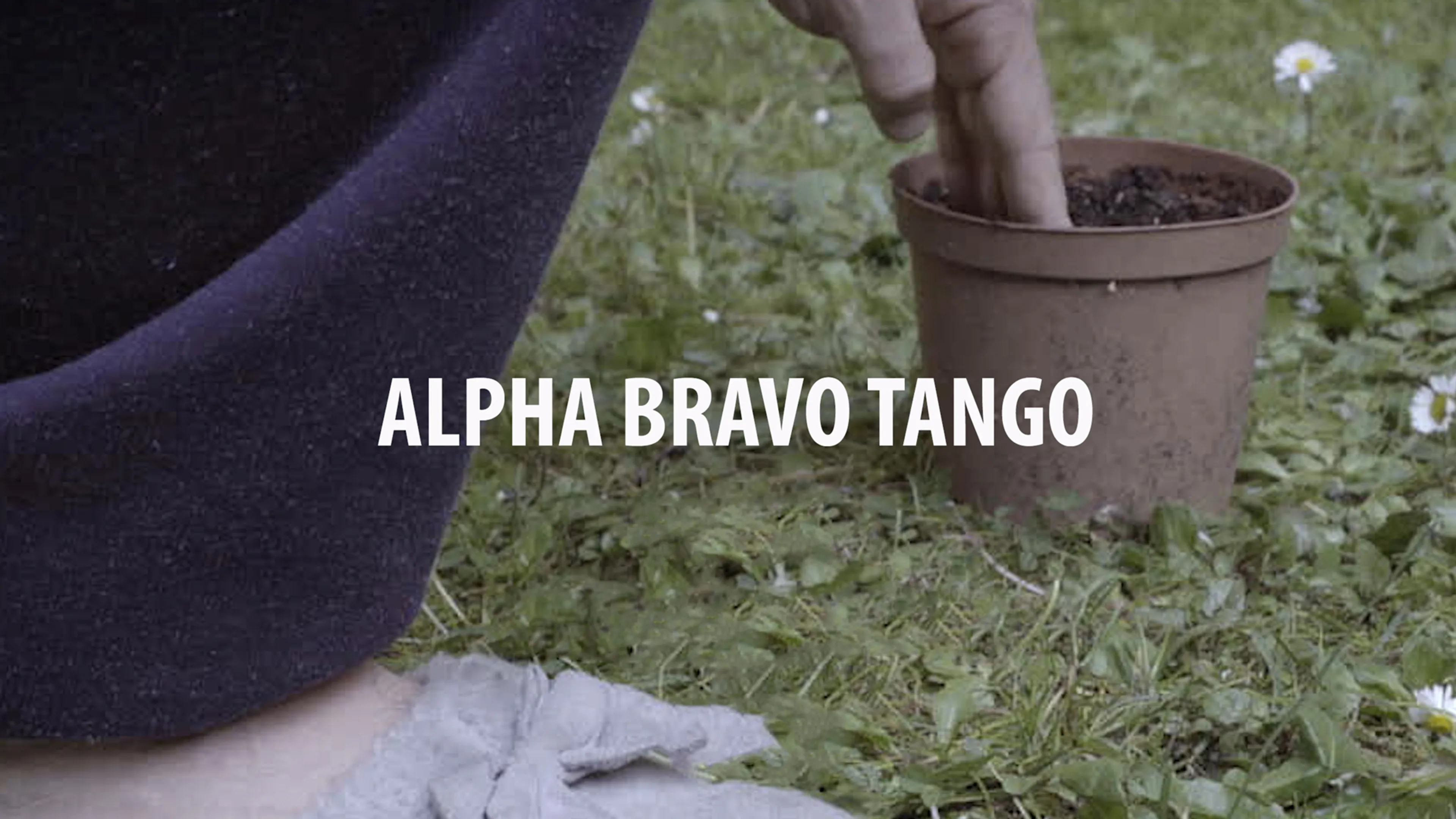 Alpha Bravo Tango poster